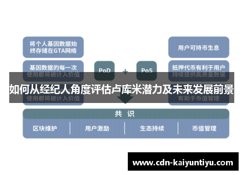如何从经纪人角度评估卢库米潜力及未来发展前景 如何从经纪人角度评估卢库米潜力及未来发展前景