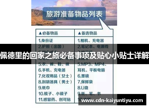佩德里的回家之旅必备事项及贴心小贴士详解 佩德里的回家之旅必备事项及贴心小贴士详解