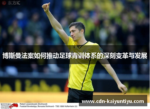 博斯曼法案如何推动足球青训体系的深刻变革与发展 博斯曼法案如何推动足球青训体系的深刻变革与发展
