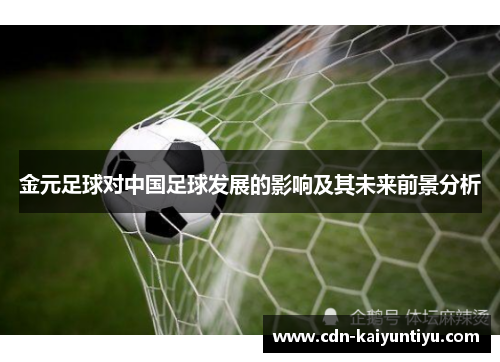 金元足球对中国足球发展的影响及其未来前景分析